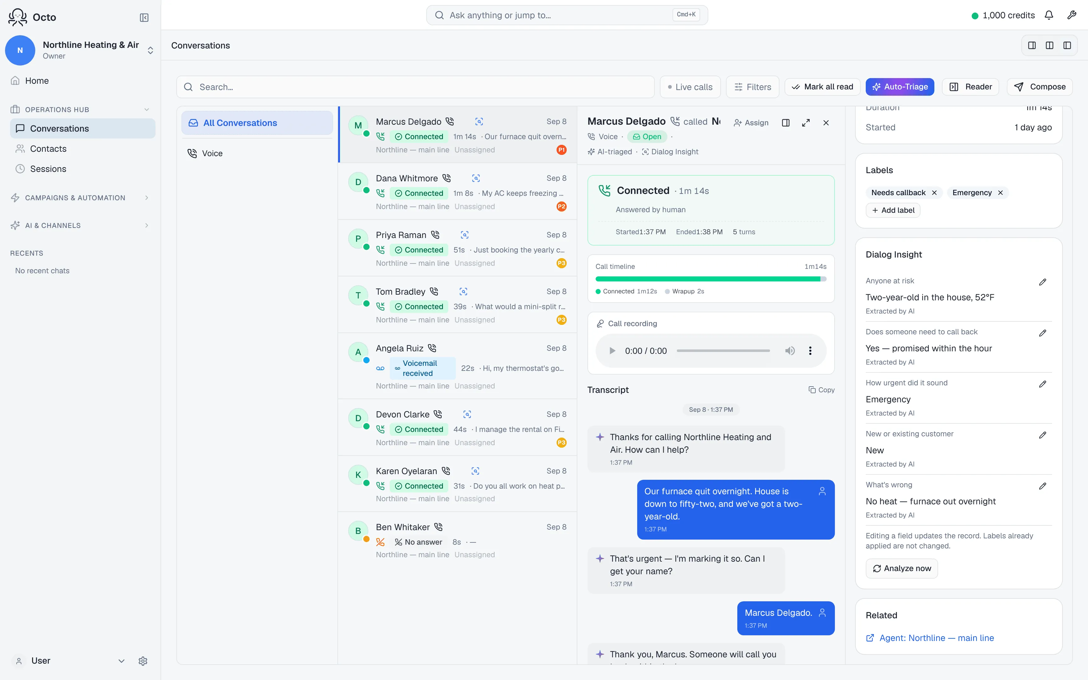The Dialog Insight panel beside a call, listing the fields pulled out of the conversation.